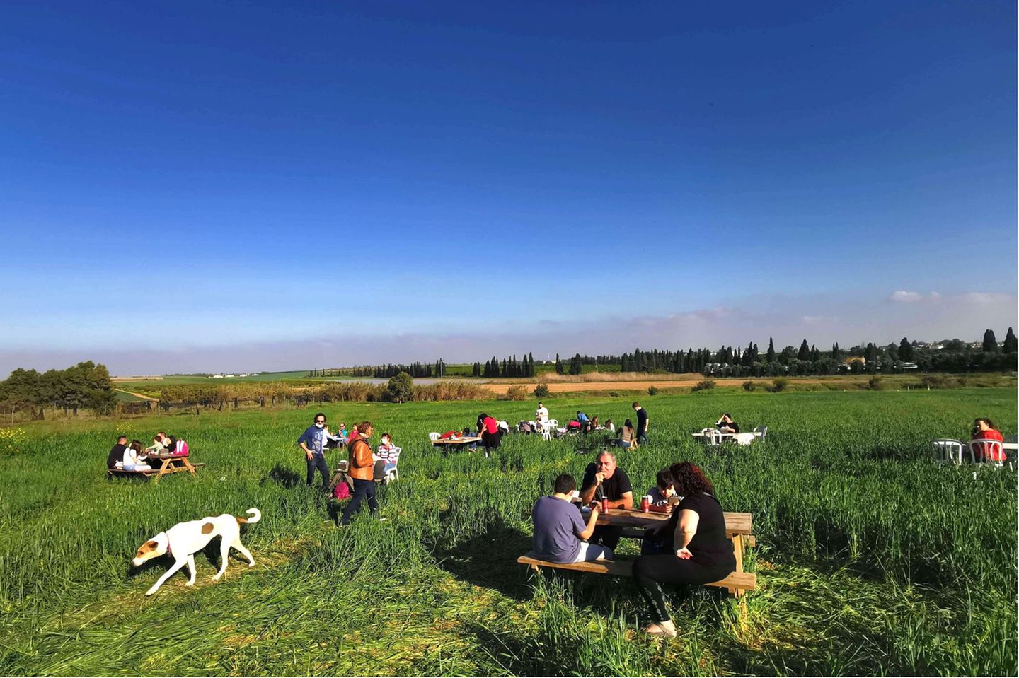 In Israel kehrt langsam Normalität zurück. Nahe der Stadt Beer Sheva genießen die Menschen das gute Wetter