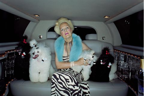 Eine reiche Frau sitzt mit ihren Pudeln auf dem Rücksitz einer Stretch-Limousine