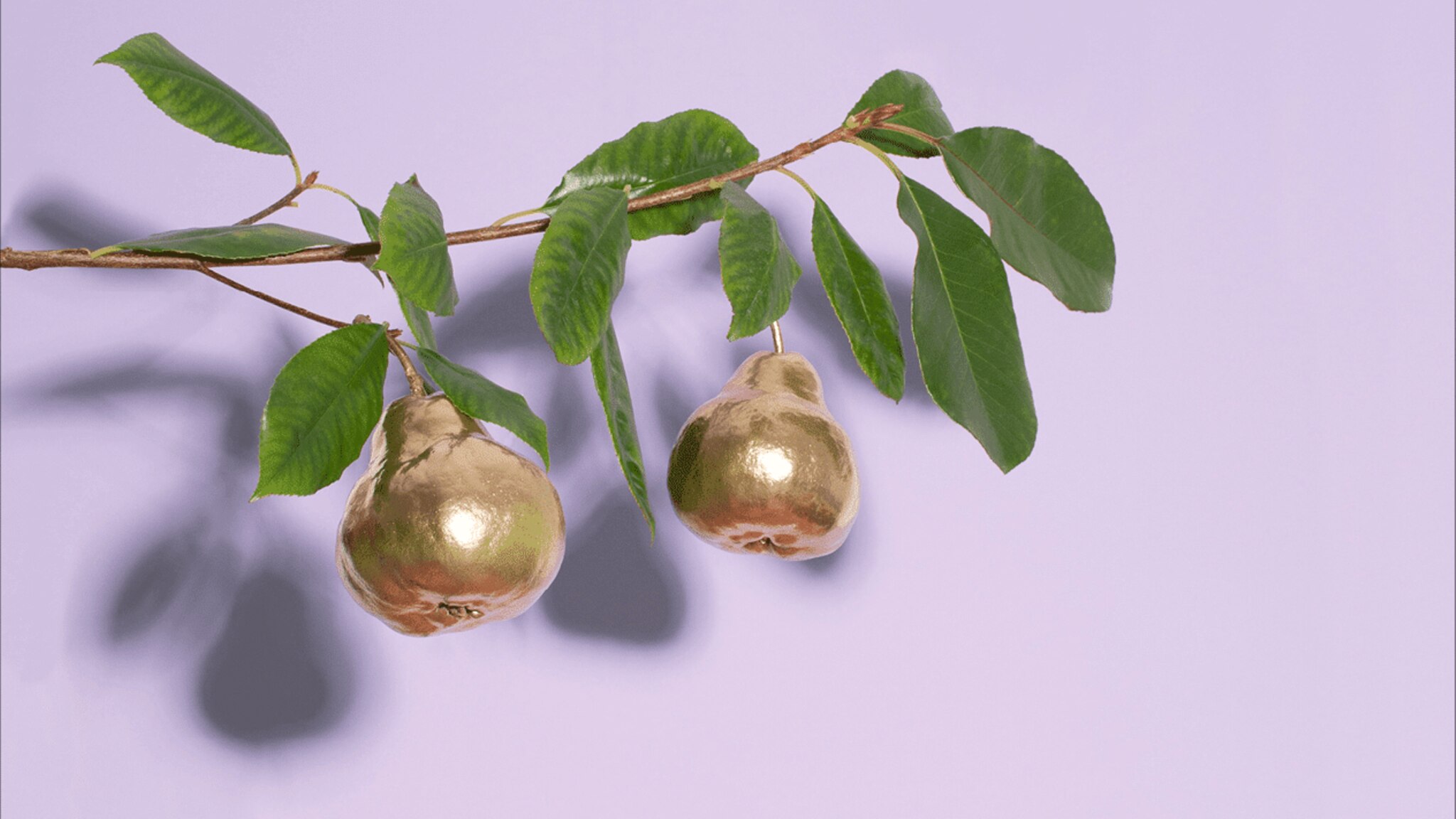 C+Wochenstuecke_Geldanlage_data(1)-min