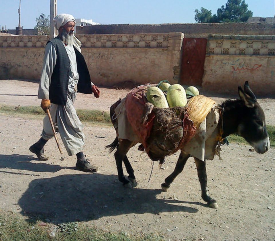 Typisch afghanisches Gütertransportmittel