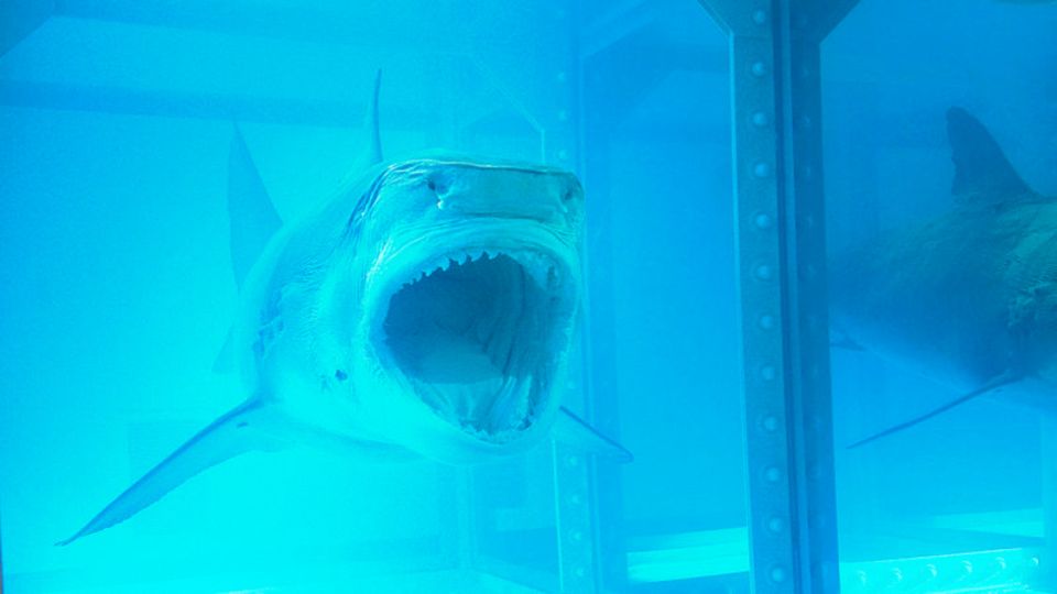 Ein schöner Zufall, dass das Großraumbüro von Steven Cohens Hedgefonds SAC als „Haifischbecken“ bezeichnet wird. Der 57-Jährige besitzt nämlich einen von Damien Hirst in Formaldehyd eingelegten Raubfisch