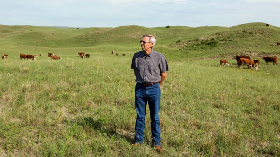 Dan Morgan ist der Älteste von vier Geschwistern. Als einer der wenigen Rancher exportiert er in die EU