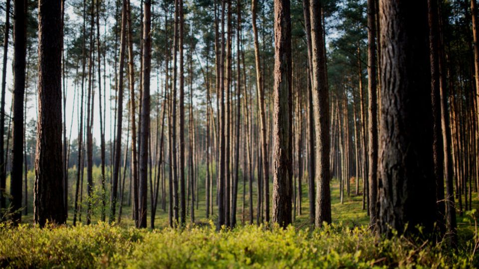 Was gut werden soll, braucht Zeit und Übersicht - das gilt auch beim Investieren