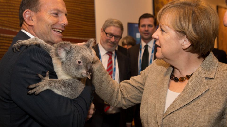 Auch Kanzlerin Angela Merkel durfte in Brisbane einen Koala streicheln