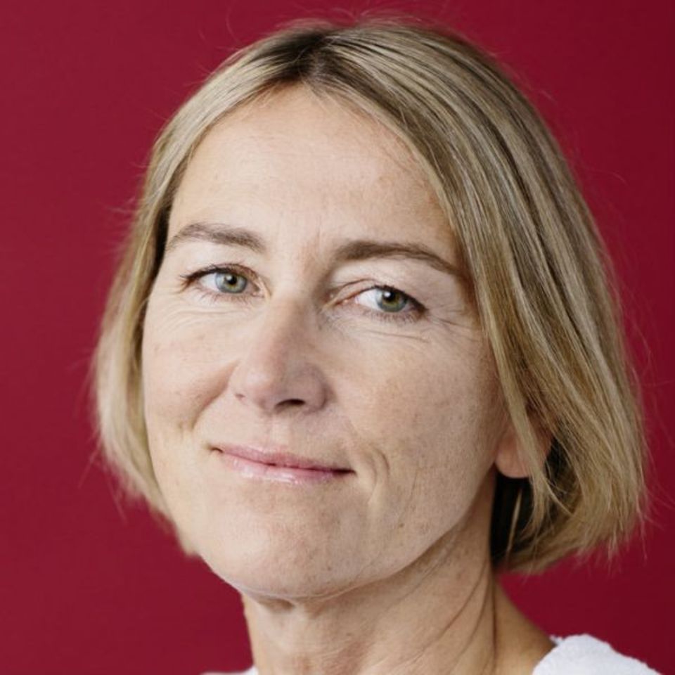 Ines-1