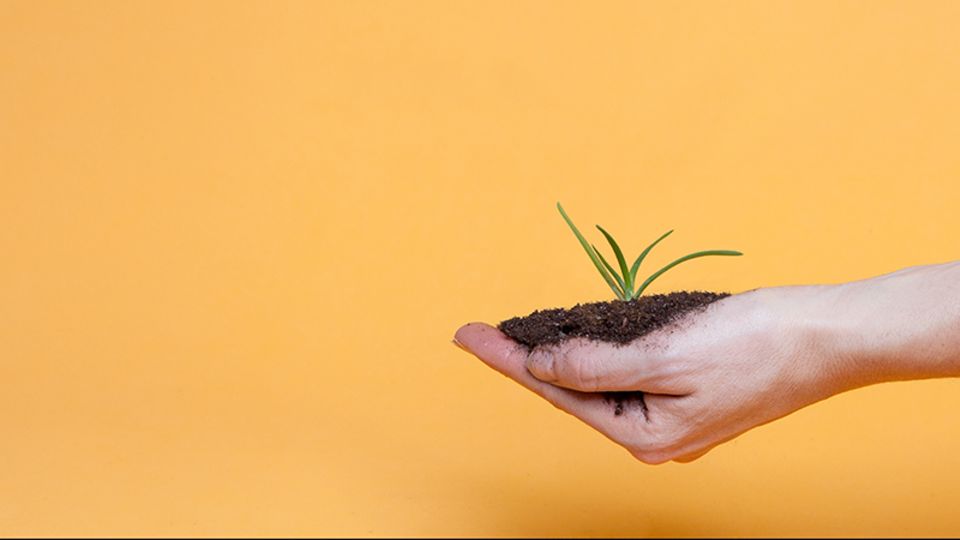 Sauberes Wachstum: Der Markt für nachhaltige Finanzprodukte legt seit Jahren zu