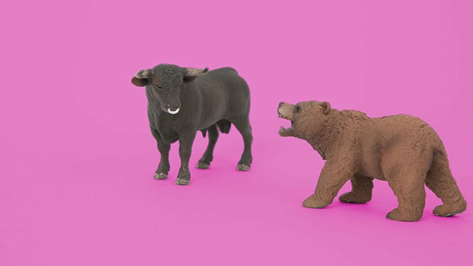 Noch herrscht Bullenstimmung an den Märkten. Doch die Anleger fürchten einen Kurssturz