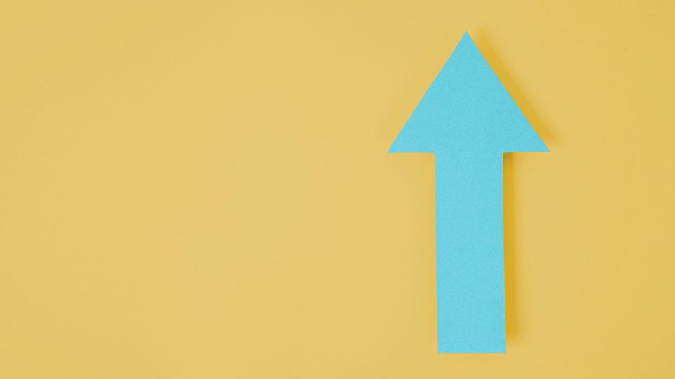 Vorsicht Absturzgefahr: Vermeintliche Trends können sich rasch als Luftnummer erweisen