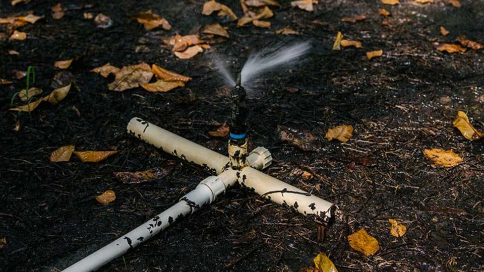 Nur noch ein Rinnsal. Wassersparen ist zur Bürgerpflicht geworden