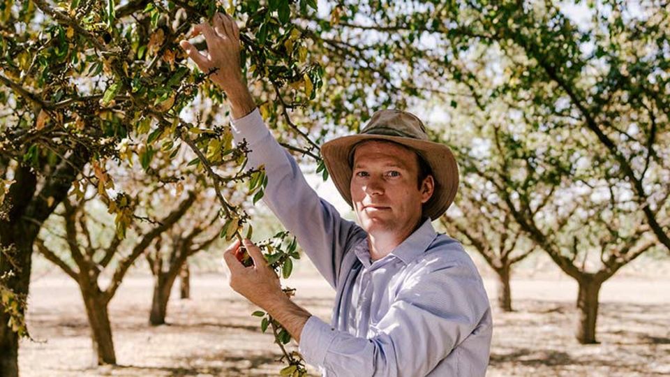 David Doll berät Mandelbauern bei der Pflege ihrer Bäume. Neben ­Apple sind Mandeln einer der wichtigsten Exportschlager des Landes