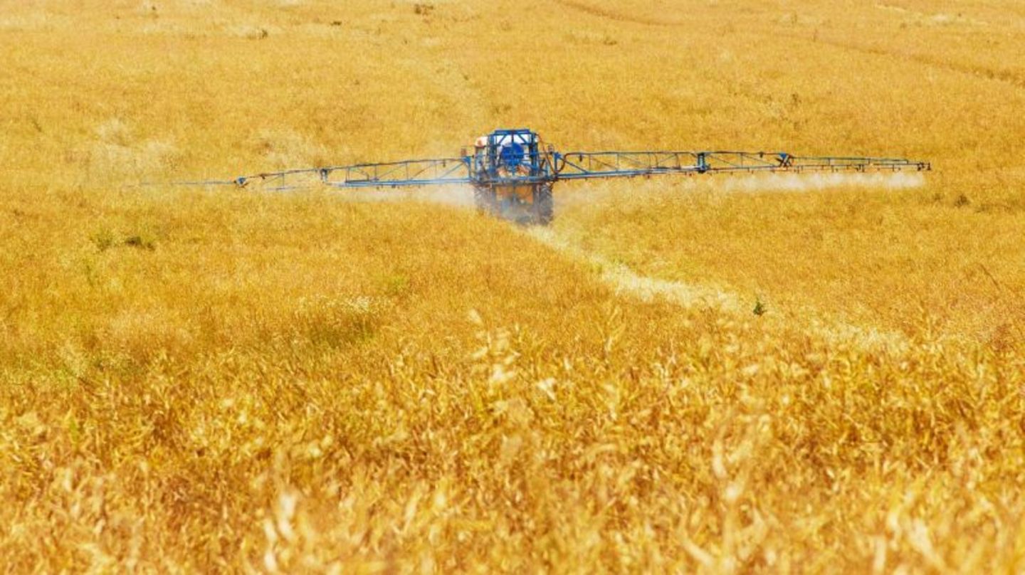 Ist das Pflanzenschutzmittel Glyphosat wirklich krebserregend?