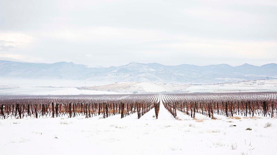 Das Bessa Valley in Bulgarien. In Thrakien wurde schon vor 3500 Jahren Wein angebaut