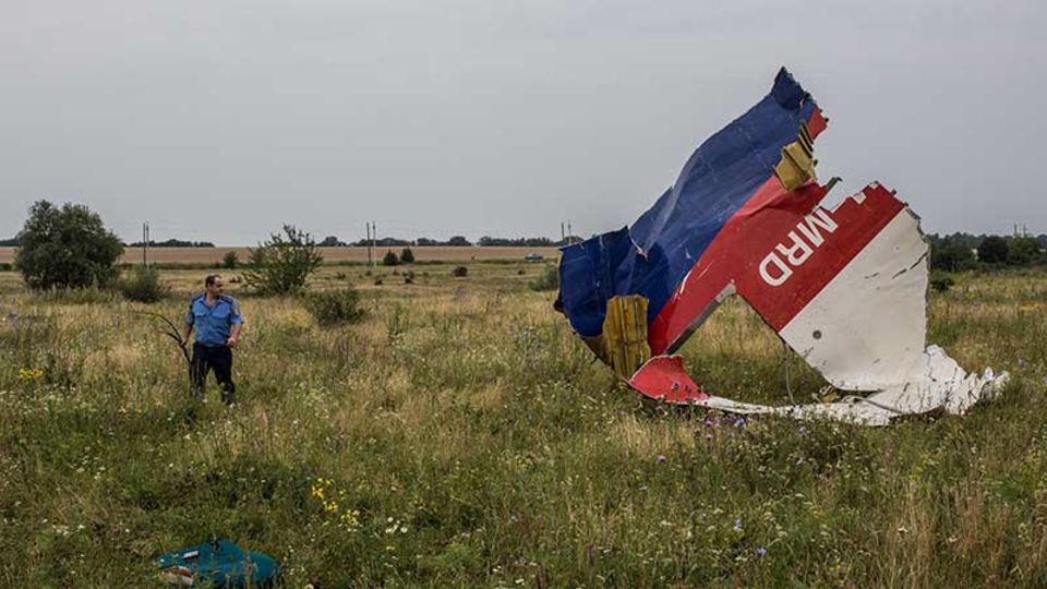 Figure Trümmer der MH 17 auf einem Feld in der Ostukraine