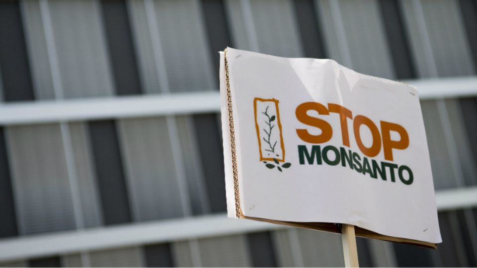 Im Mai 2016 wurde weltweit gegen Monsanto protestiert - so auch in der Schweiz - Foto: dpa