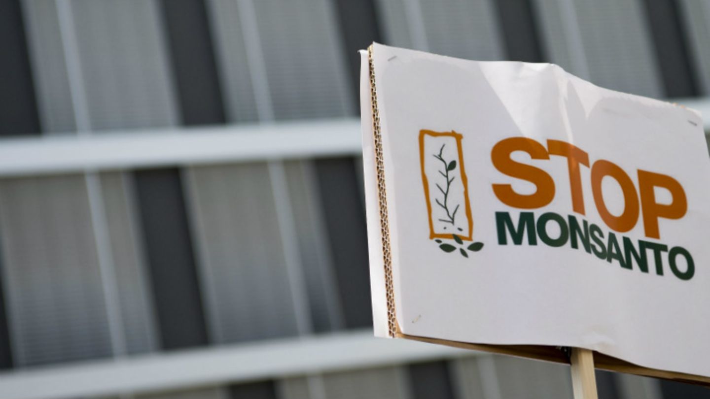 Im Mai 2016 wurde weltweit gegen Monsanto protestiert – so auch in der Schweiz