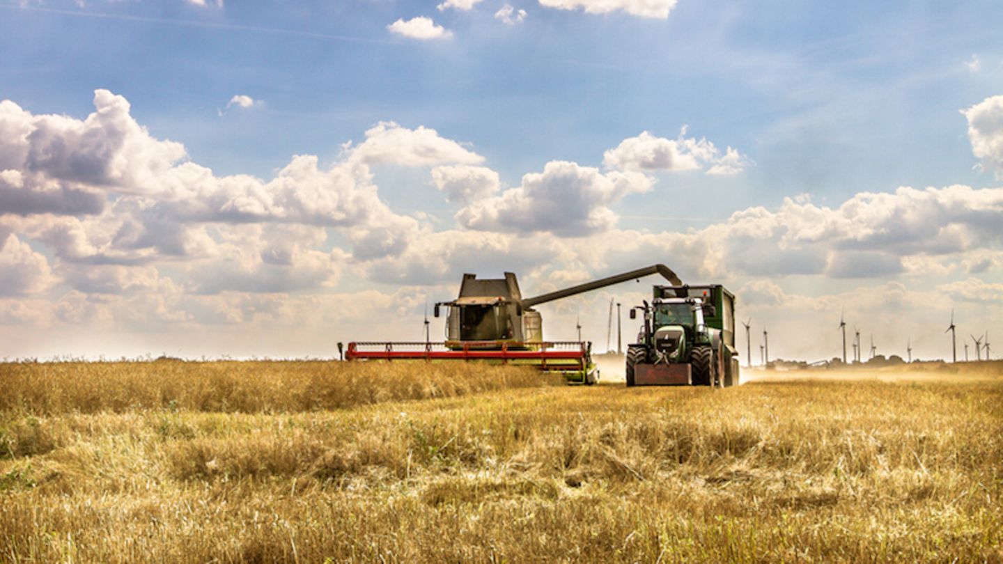 KTGAgrarGläubiger gehen weitgehend leer aus Capital.de