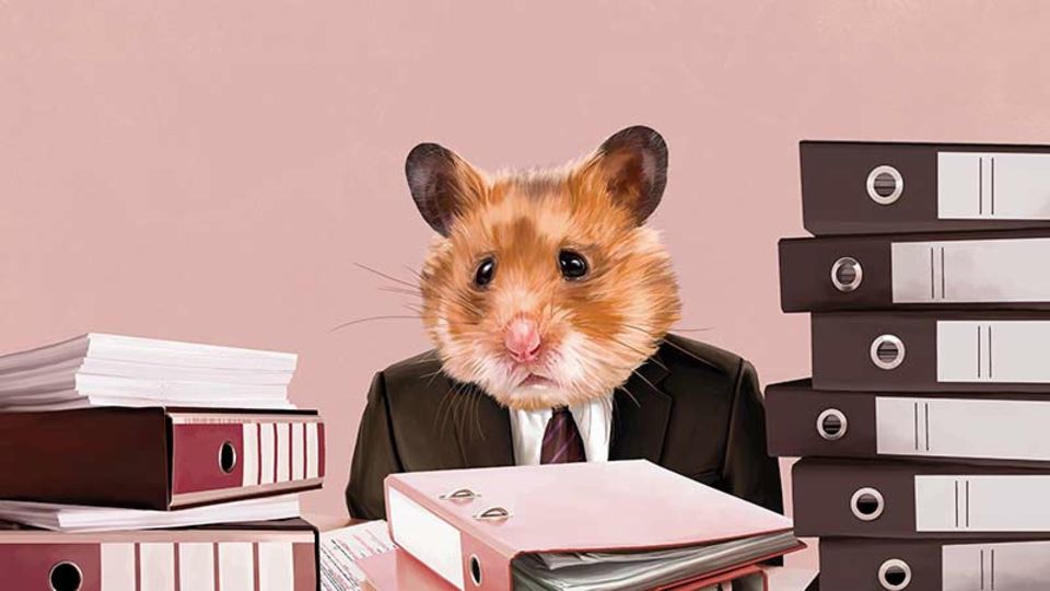 Willkommen im Hamsterrad