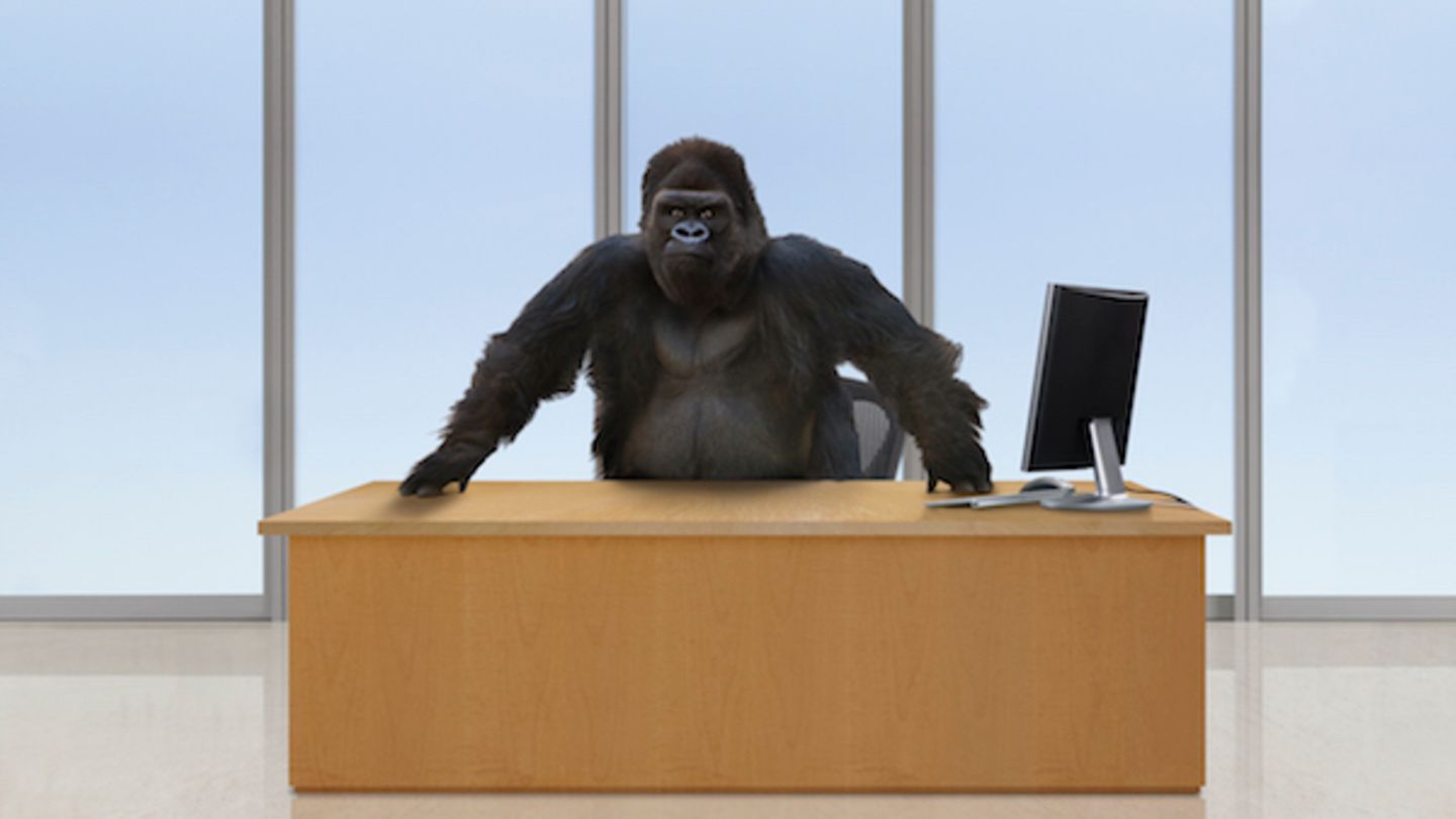 gorilla_GettyImages-149268757