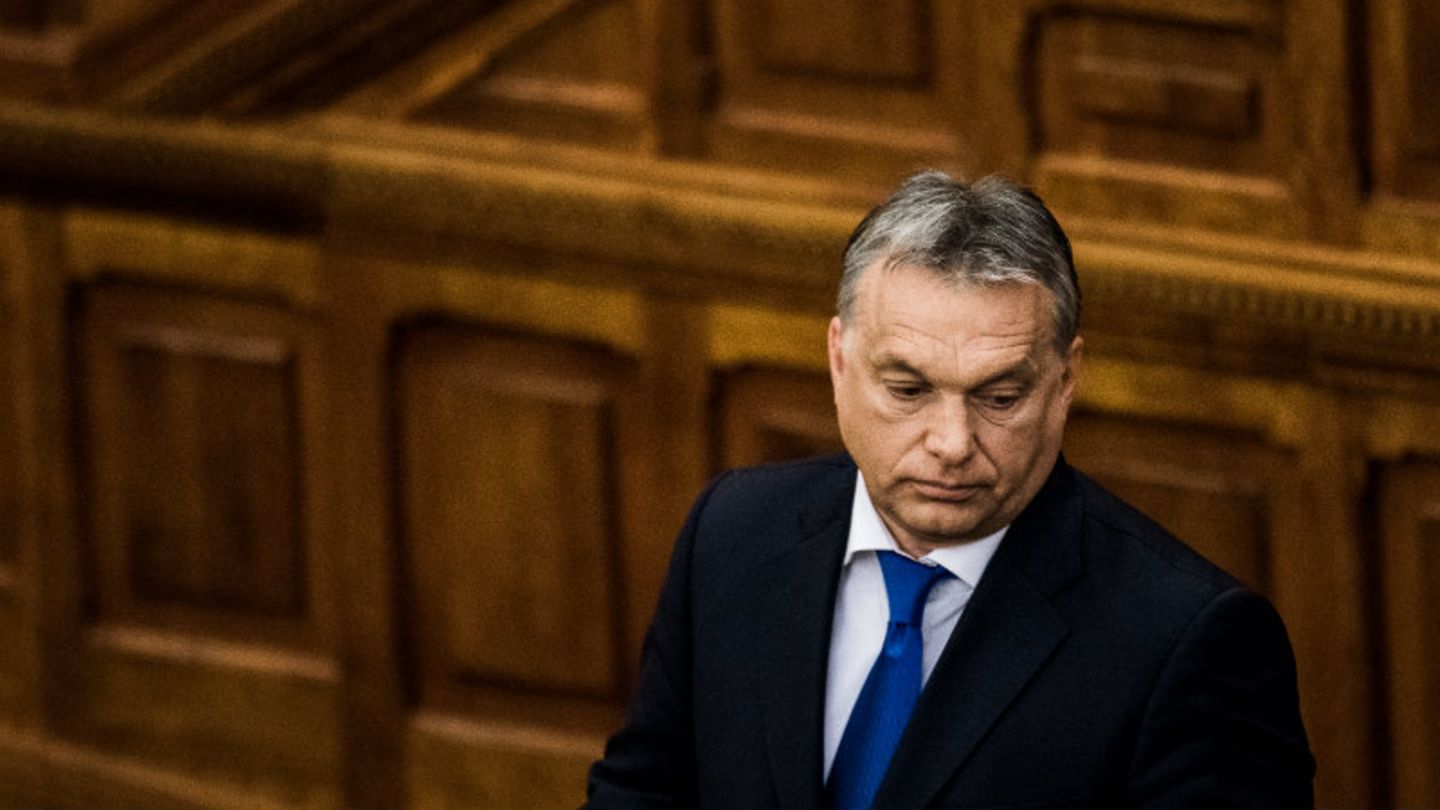 Viktor Orbán ist seit sieben Jahren ungarischer Ministerpräsident