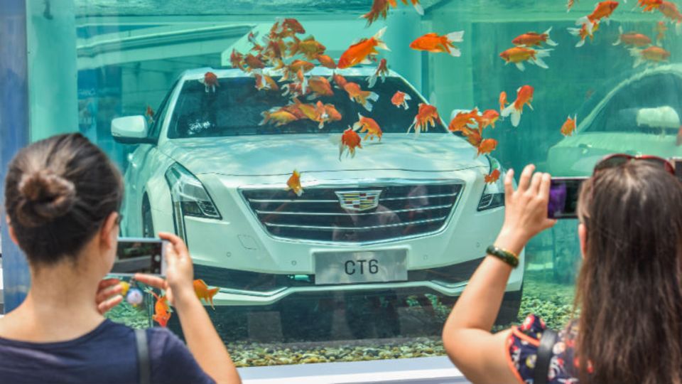 SAIC Motor (Gewinn 2016: 4,8 Mrd. Dollar): Der chinesische Autobauer ist hierzulande noch wenig bekannt. In China kooperiert er unter anderem mit GM und VW. Ein Cadillac CT6 von SAIC-GM wurde kürzlich in einem Aquarium in Chengdu ausgestellt.