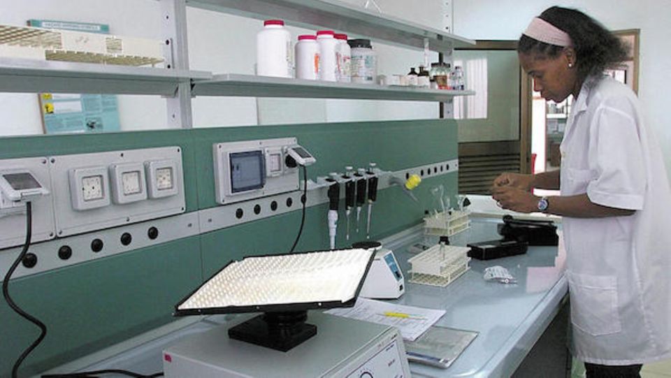 unbegrenzt erneuerbar und stoßen relativ wenig Treibhausgas aus. Fortschritte im Metabolic Engineering revolutionieren nun die Produktion dieser Stoffe. Sie können beispielsweise für die Herstellung von Medikamenten verwendet werden.