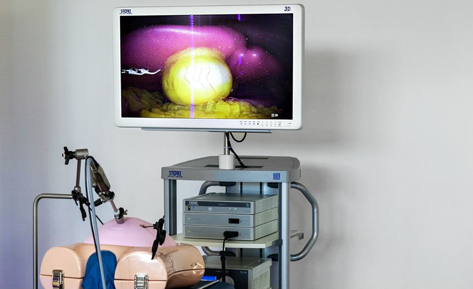 Eine Übungsstation für ein Endoskop der Firma Karl Storz. Der Operateur sieht die gelbe Gallenblase auf dem Bildschirm dreidimensional – so er denn eine 3D-Brille trägt