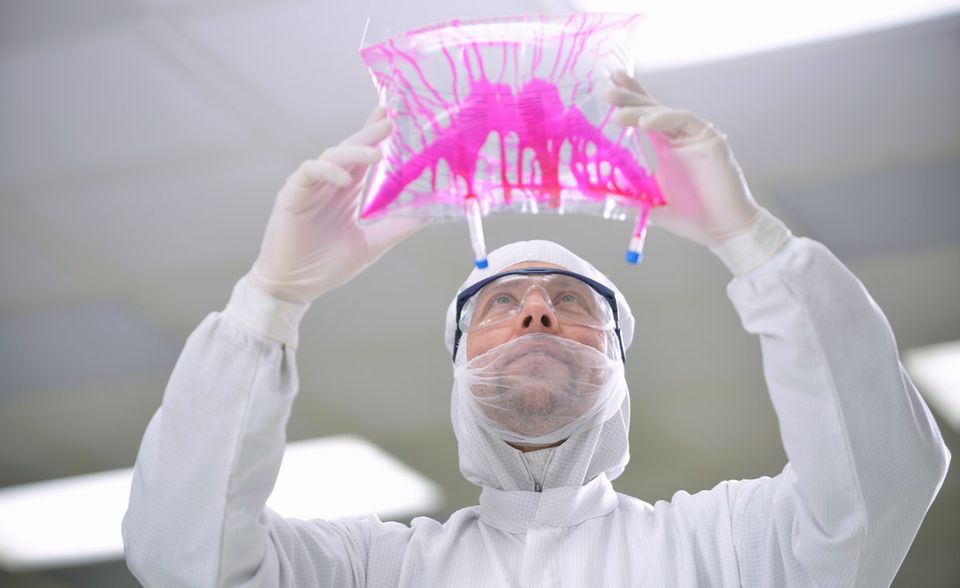 #5 Gesundheitswesen (Technologie, Dienstleistung): Die Top 100 der umsatzstärksten Unternehmen Deutschlands listet sieben Firmen aus dem  Gesundheitswesen (Technologie, Dienstleistung) auf. Das reicht für Platz fünf unserer Rangliste.    Spitzenreiter sind Fresenius SE, McKesson Europe und Fresenius Medical Care.