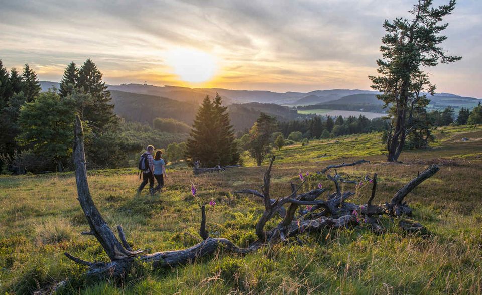 #9: Sauerland. Wo man im Winter Ski fahren kann, da lässt es sich im Sommer toll wandern und radeln: Im nordrhein-westfälischen Sauerland kann man zwischen Stauseen, Wald und Rothaargebirge ausspannen. Durch das über 3000 Kilometer große Radnetz kann man Südwestfalen erkunden.