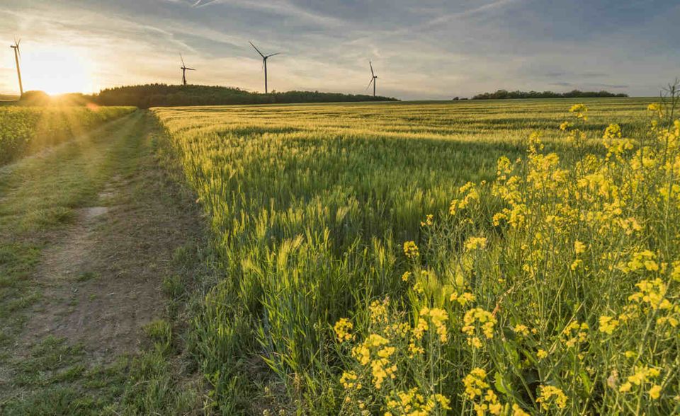 # 10: Eifel. Wandern auf dem 313 Kilometer langen Eifelsteig von Aachen nach Trier, Radeln auf dem längsten Bahntrassenradweg Europas, frische Luft tanken im Nationalpark Eifel, dem einzigen in Nordrhein-Westfalen. In der Eifel lassen sich tiefblaue Seen und Flüsse bestaunen, Talsperren und Gebirgszüge voll Wald.