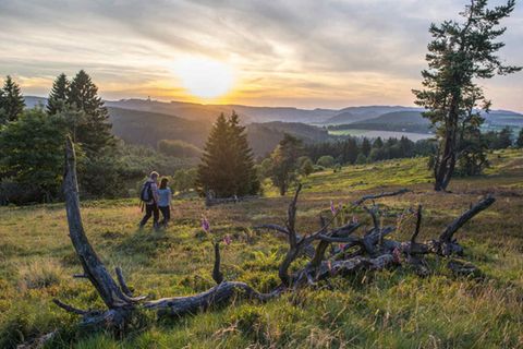 Symbolbild: Urlaub mit kurzer Anreise, das klappt zum Beispiel im Sauerland.