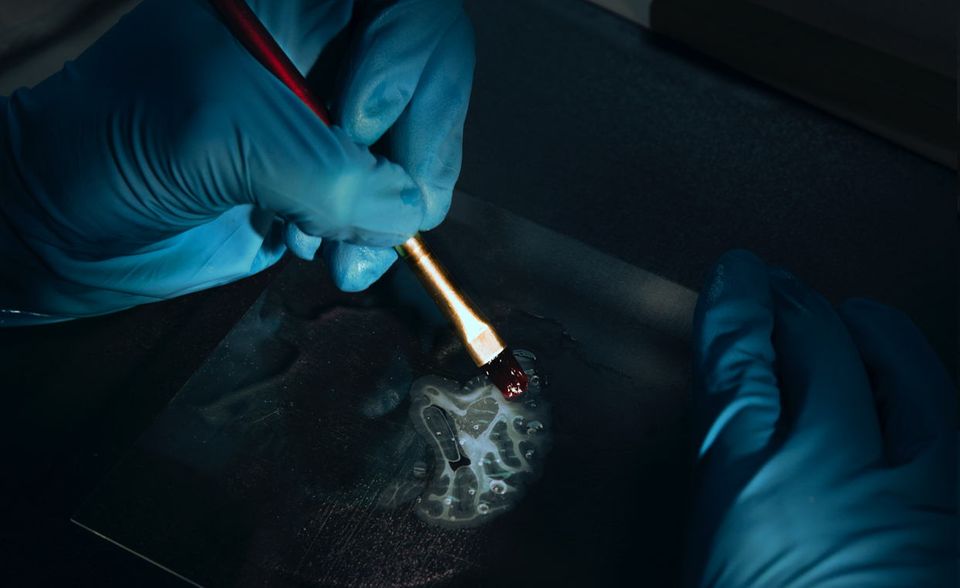 Beim Human Brain Project in Jülich werden Teile von Gehirnscheiben eingefärbt, bevor sie per Scanner eingelesen werden