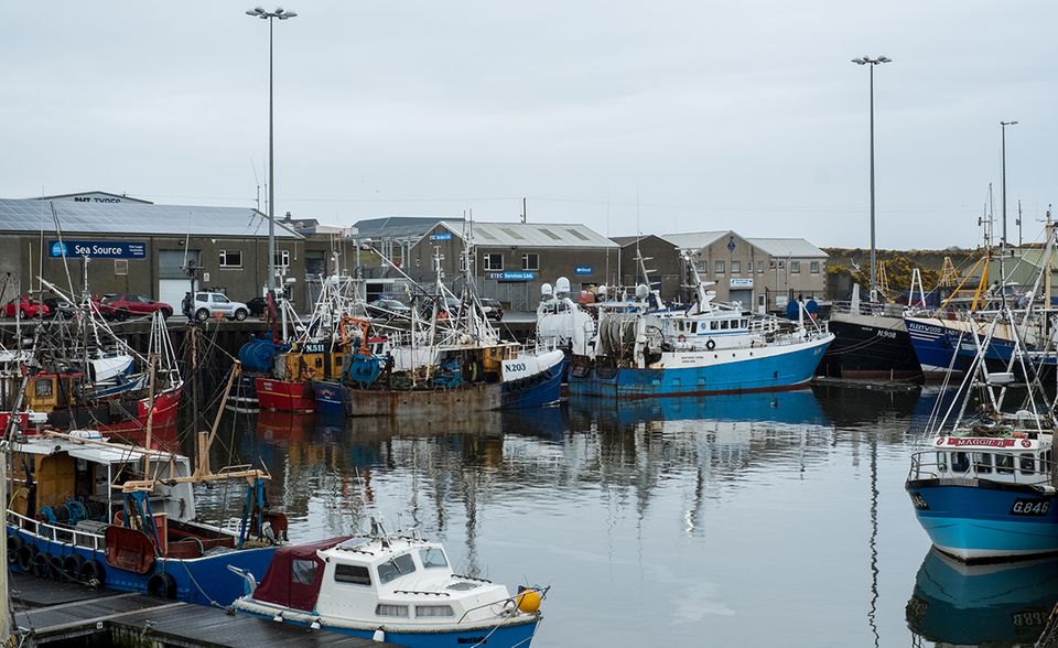 Im Hafen der nordirischen Stadt Kilkeel: Was die Fischer hier anliefern, wird meist in die EU oder den irischen Süden exportiert.