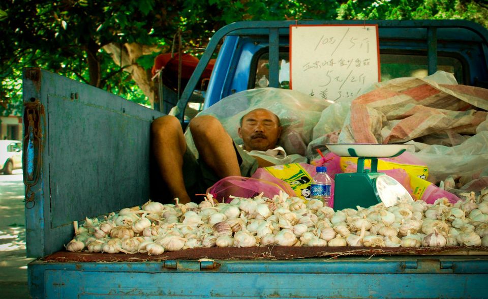 Knoblauch aus China genießt keinen bevorzugten Zugang zur EU. Mit mehr als 200 Prozent übersteigt sein Zoll um ein vielfaches den für Äpfel oder Zwiebeln. Weil der Ursprungspreis aber unschlagbar ist, deklarieren Händler die Knolle bisweilen zum Apfel um. So geschehen in Dublin, wo die Betrugsbekämpfer der EU fündig wurden. Ein Importeuer hatte den Zoll für mehr als 1000 Tonnen um 1,6 Mio. Euro geprellt. Auch in Polen wurde frischer Knofi als Zwiebel geschmuggelt containerweise beschlagnahmt. Für frische Knollen chinesischen Ursprungs sind bei der Einfuhr Wertzölle von 9,6 Prozent zuzüglich eines spezifischen Zolls von 1200 Euro pro Tonne (Nettogewicht) fällig. Von dem Mengenzoll ist jährlich eine Quote von weltweit 58.870 Tonnen ausgenommen, darunter 33.700 Tonnen aus China. Da die Kapazitäten für den Anbau in China groß und die Kosten sehr niedrig sind, ist die Umgehung der Zölle ein verlockendes Geschäft für Schmuggler.