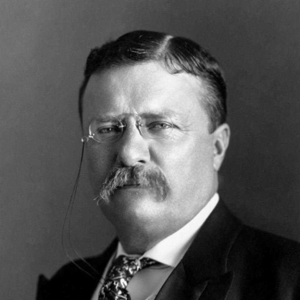 Theodore Roosevelt war von 1901 bis 1909 US-Präsident