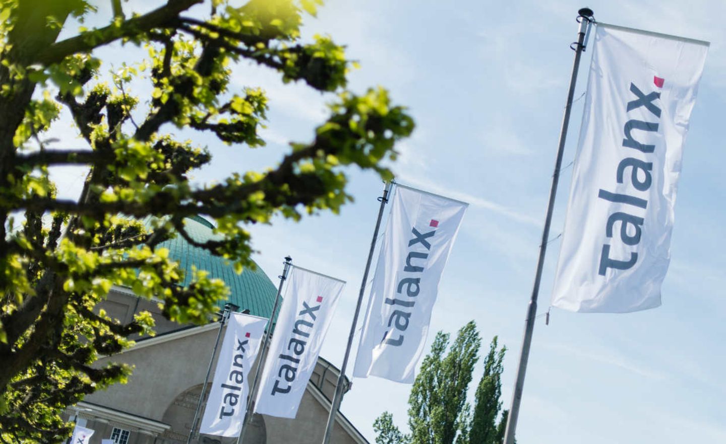 Fahnen der Talanx AG wehen im Wind