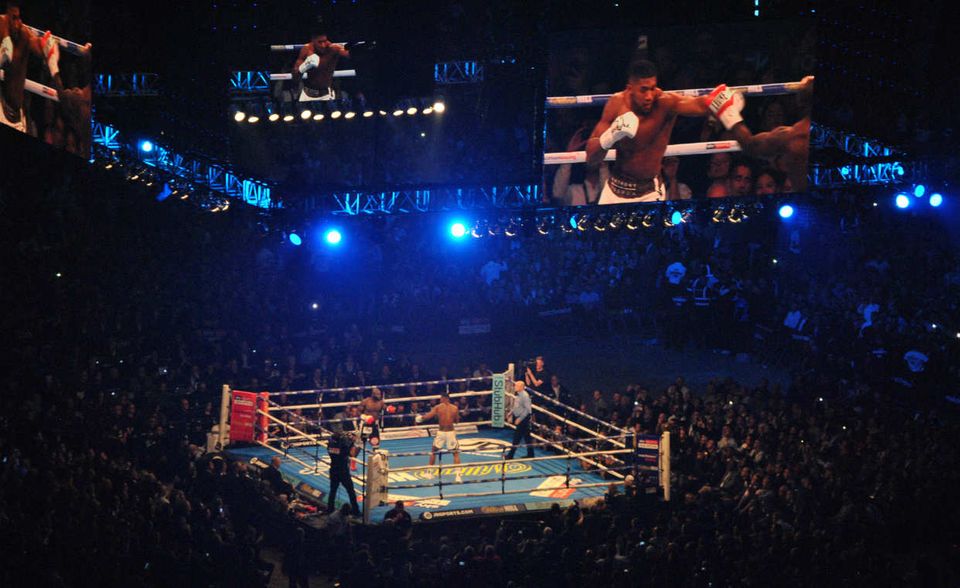 Im April 2017 besiegte der Brite Anthony Joshua im Ring Wladimir Klitschko. Sein Sieg über Joseph Parker generierte fast 1,5 Millionen Pay-per-View-Käufe. Von dieser Strahlkraft profitierte der amtierende Weltmeister im Schwergewicht auch finanziell. Er verdiente zwischen Juni 2017 und Juni 2018 rund 39 Millionen Dollar, wie „Forbes“ berechnet hat. 32 Millionen Dollar erkämpfte sich Joshua direkt im Boxring.