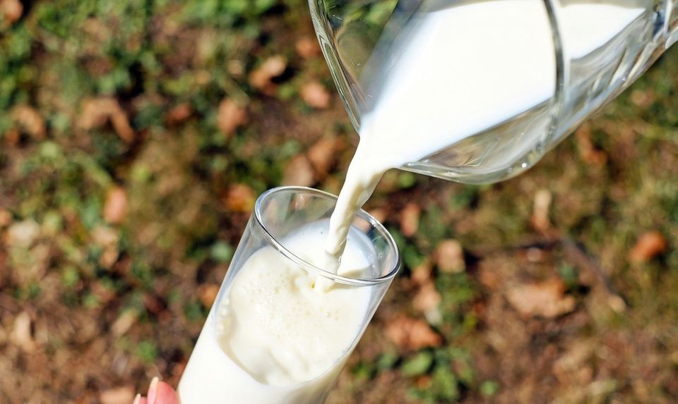 Prime Now bringt Bestellungen binnen zwei Stunden nach Hause. Diesen Service in Berlin und München lässt sich Amazon gut bezahlen. Und wofür verwendeten Kunden diese Mehrausgaben? Milch gehörte laut dem Unternehmen zu den am häufigsten bestellten Produkten bei Prime Now.