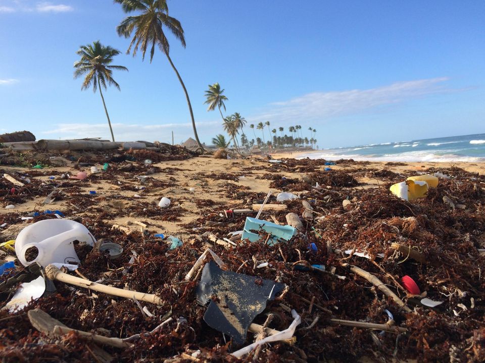 Die Meere sind weltweit mit Plastikmüll verschmutzt. Der Druck auf Politik und Industrie steigt.