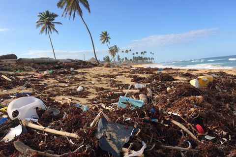 Die Meere sind weltweit mit Plastikmüll verschmutzt. Der Druck auf Politik und Industrie steigt.