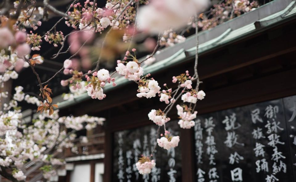 „Forbes“ zählt 2019 exakt 32 Milliardäre in Japan. Die teilen unter sich 127 Milliarden Dollar auf. Das ergibt ein Pro-Kopf-Vermögen von knapp vier Milliarden Dollar.