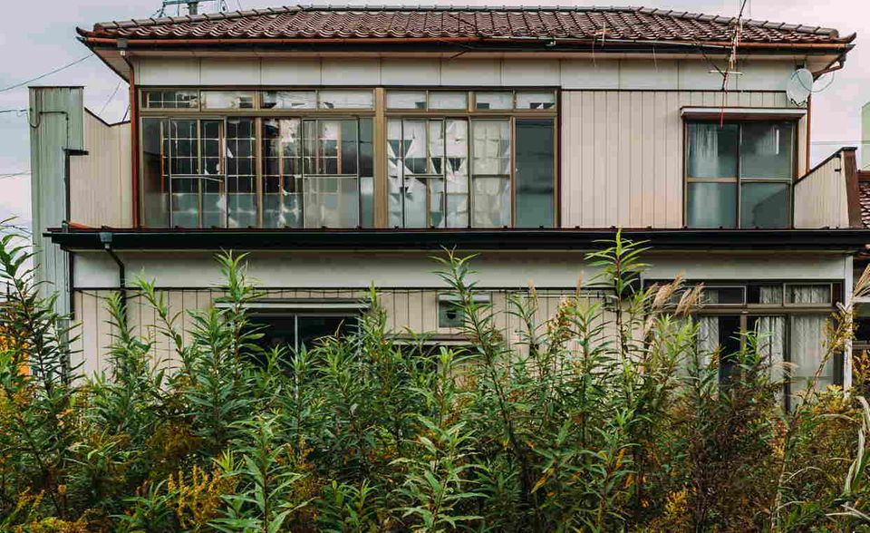 Nature are taking over some destryoed houses