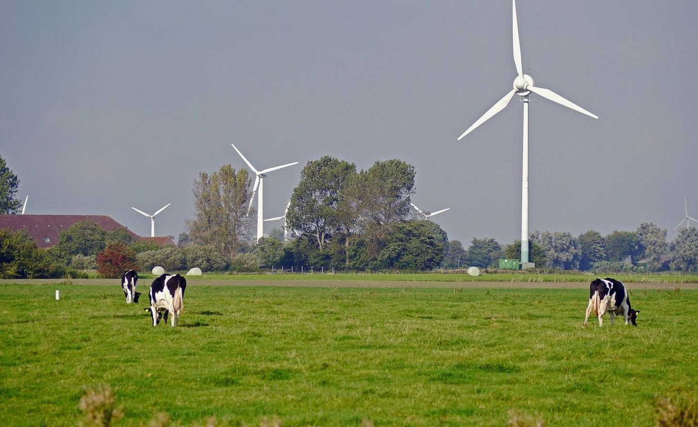 Deutschland ist der drittgrößte Produzent von erneuerbaren Energien aus Fotovoltaik und Wind. 2018 konnten laut BP 209,2 TWh generiert werden. Das entsprach einem Zuwachs von 6,6 Prozent. Im Mix aller erneuerbaren Energien führte 2018 laut Umweltbundesamt Wärme aus biogenen Brennstoffen und Gasen (Biomasse) mit 34 Prozent. Es folgten Windenergie (26 Prozent), Strom aus Biomasse (zwölf Prozent) sowie Solarenergie (elf Prozent).