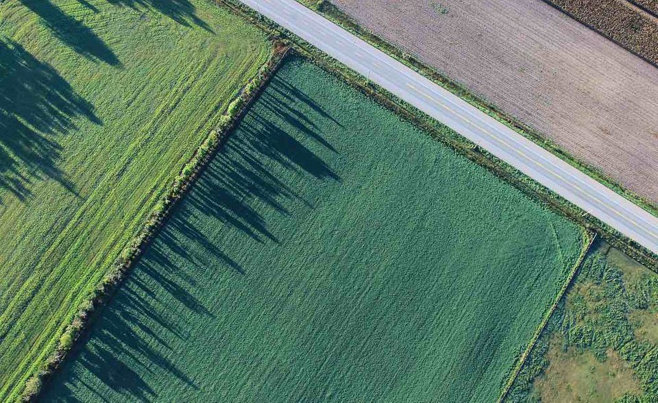 In der Branche „Land- und Forstwirtschaft, Fischerei“ gibt es das mit Abstand geringste Urlaubsgeld. Am wenigsten erhalten Tarifbeschäftigte im Unterbereich „Landwirtschaft, Jagd und damit verbundene Tätigkeiten“. Neun von zehn (91,7 Prozent) kommen im Durchschnitt auf lediglich 275 Euro.