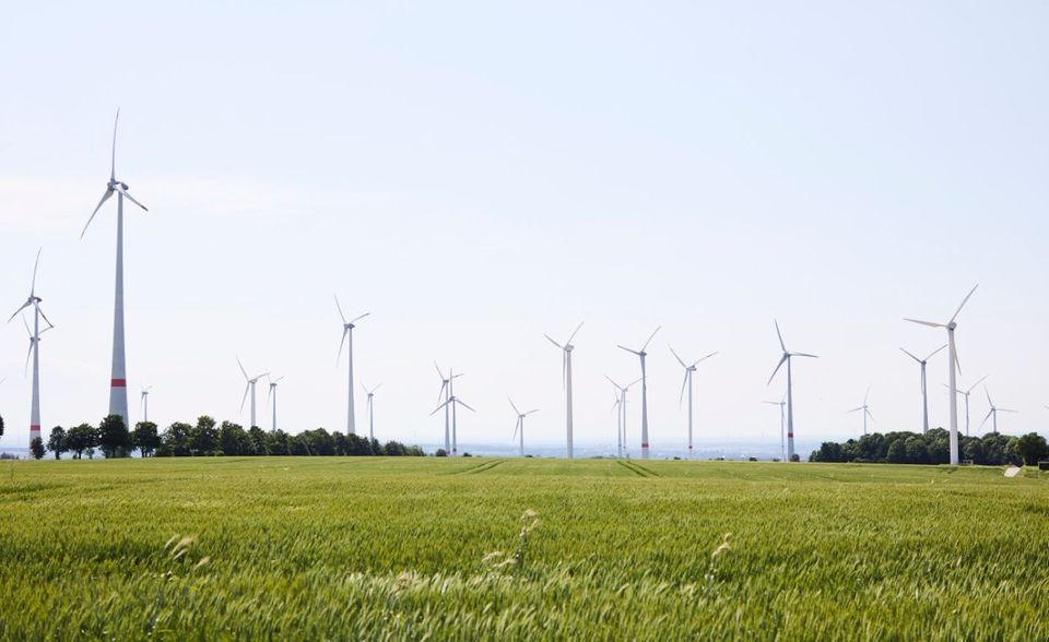 Windpark im Kreis Paderborn: In den vergangenen Monaten ist der Ausbau der wichtigsten Erneuerbaren-Quelle fast zum Erliegen gekommen – mit gravierenden Folgen für die Windindustrie