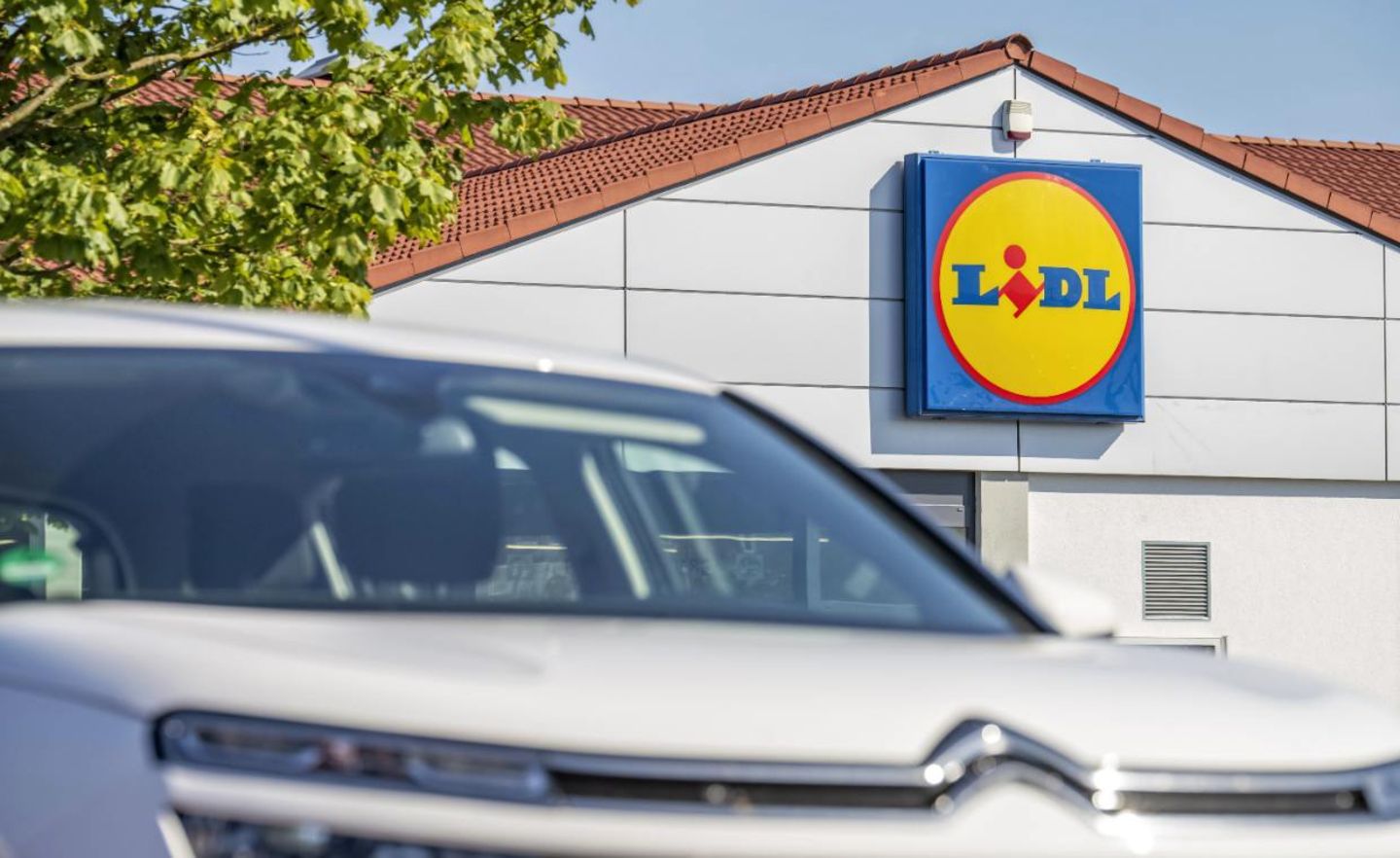 Start-up-Fonds Streitet Mit Lidl-Gründer - Capital.de