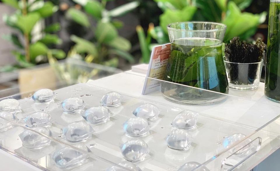 Um den Plastikkonsum zu verringern, braucht es ressourcenschonende Alternativen. Das britische Start-up Notpla setzt deshalb auf Braunalgen als Alternative zu Plastikflaschen. In Form kleiner mit Wasser gefüllten Blasen, der sogenannten Oohos hat das Start-up seine Erfindung bereits im April beim berühmten Londoner Marathon getestet. Die Braunalge ist in salzigen Gewässern heimisch und kann innerhalb von 24 Stunden bis zu einen Meter wachsen. Laut Notpla ist der Anbau dabei äußerst ressourcenschonend, da kein Süßwasser oder chemischer Dünger benötigt wird. Zusammen mit Wasser und Kalzium entsteht ein essbares Material. Wer die Braunalgen-Verpackung nicht essen will, kann sie aber auch kompostieren. Nach vier bis sechs Wochen hat sie sich selbstständig zersetzt.