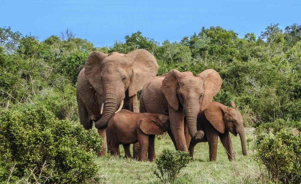 #5 Swasiland „Eines der unterschätztesten und am wenigsten besuchten Reiseziele im Süden Afrikas“, wirbt der „Lonely Planet“ für Swasiland, offiziell: Königreich Eswatini. Ein neuer internationaler Flughafen und ein verbessertes Straßennetz zwischen Naturparks und der Hauptstadt Mbabane erleichtern die (An-)Reise.