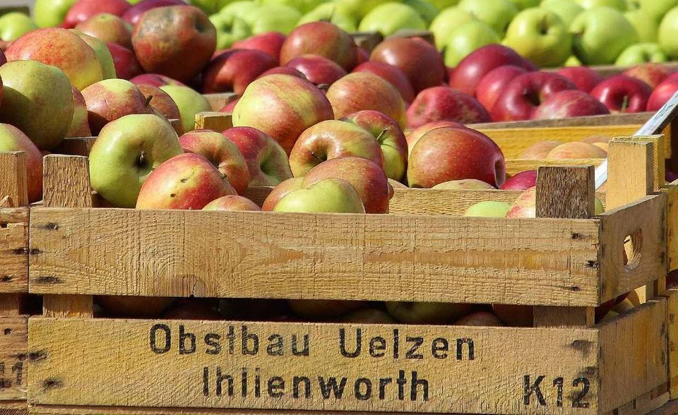 Der Griff zu Biolebensmitteln kann ebenfalls bei mehr Nachhaltigkeit helfen. „Im Vergleich zur konventionellen Landwirtschaft verbrauchen Biobauern bei der Produktion nur ein Drittel an fossiler Energie, da sie auf chemisch-synthetische Dünger und Pflanzenschutzmittel verzichten, die mit einem hohen Verbrauch an Energie erzeugt werden“, teilt die Verbraucherzentrale mit. Allerdings ist der Vorteil bei Öko-Heidelbeeren aus Chile natürlich schnell futsch. Wer sich möglichst regional und saisonal ernährt, bessert die Klimabilanz bei der Ernährung grundlegend auf.