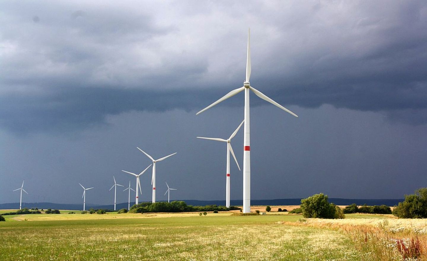 Windräder stehen auf einem Feld: Mit der Windenergie werden Milliarden umgesetzt