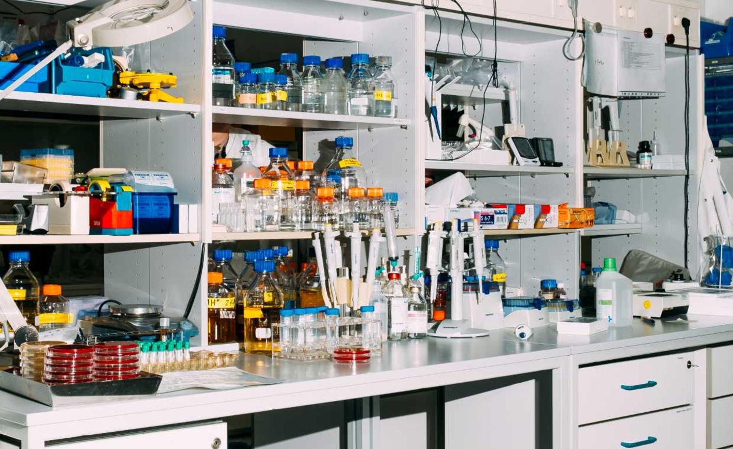 Aicuris entwickelt in ehemaligen Bayer-Räumen Moleküle zur Bekämpfung von Infektionskrankheiten